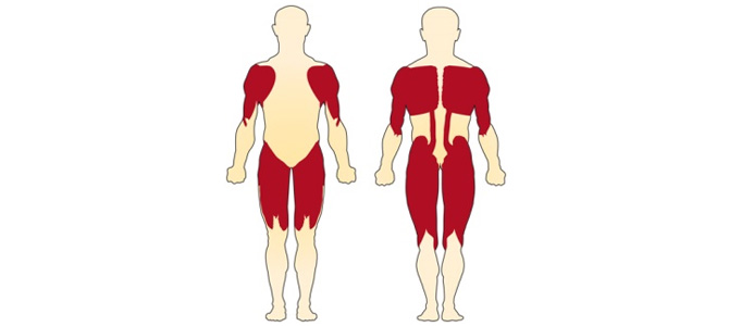 Спинальная мышечная атрофия(SMA)